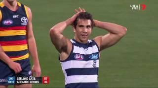 Don't argue with Cockatoo - AFL