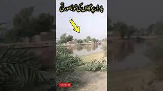 #bordervillage #border #shorts #short #shortsvideo #shortvideo #shortvideo #pakistanindia #irfonic