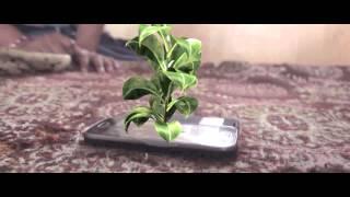 PLANT OF LIFE - ANIMATION VIDEO - LATWAL BROTHERS