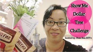 THE 10 BEST THINGS TO BUY FROM DOLLAR TREE || BUM BEA DIY's SHOW ME DOLLAR TREE CHALLENGE