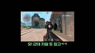 아니 저걸 못잡.... 응?
