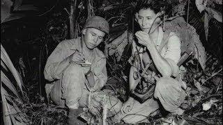 National Navajo Code Talkers Day