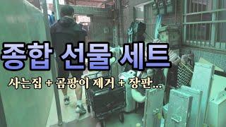 종합 선물 세트 같은 현장 ㅣ사는집 ㅣ 곰팡이제거 ㅣ장판시공 ㅣ주택