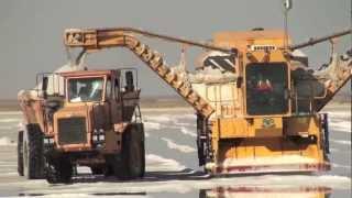 Salt harvesting in Walvis Bay, Namibia