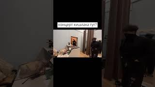 КОНЦЕРТ КИШЛАКА ТУТ?  #spokoynich #derzko69 #uglyfacekid