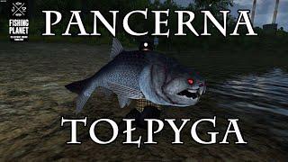  Pancerna Tołpyga w Fishing Planet