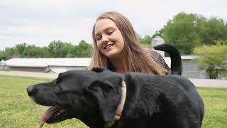 Professional Dog Training In Rock Hill, SC