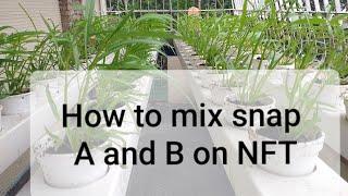SNAP HYDROPONICS TUTORIAL | NFT SET UP