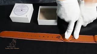 Genuine Cow Leather Dog Collar with AirTag Holder #dogcollar #doglover #dogaccessories #dog #dogs