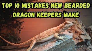 Top 10 Mistakes New Bearded Dragon Keepers Make