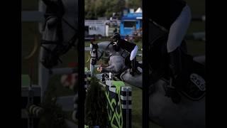 This horse-  #fypageシ #equestrian #viralvideo #rideforoscar #ride4pooky #trending #shortsfeed