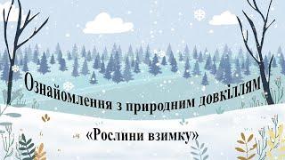 Ознайомлення з природним довкіллям "Рослини взимку". Середня група