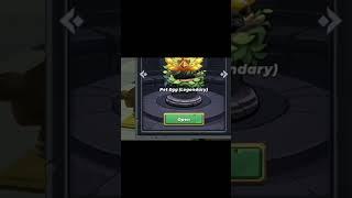 Hatching Legendary Egg (Skyblock) || Blockman Go #blockmango #skyblockblockman #skyblock