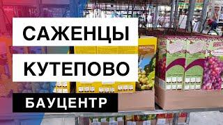 Саженцы Плодовых Деревьев. Кутепово Питомник. Обзор.