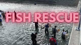 2024 Fish Rescue