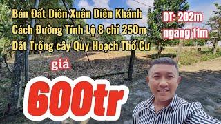 Bán Đất Diên Xuân Diên Khánh|Cách Đường Tỉnh Lộ 8 Chỉ 250m|Đất Trồng Lâu Năm Cây Quy Hoạch Đất Ở