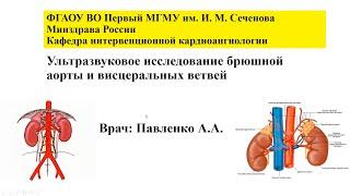 (2023.03.30) Павленко Анастасия Анатольевна - УЗИ аорты и висцеральных сосудов
