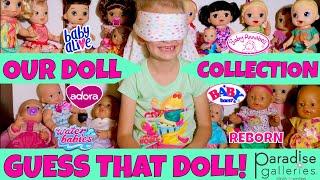 Our Huge Doll Collection!  See All Of Our Baby Dolls In 1 Video!  Fun Guessing Game With Skye!