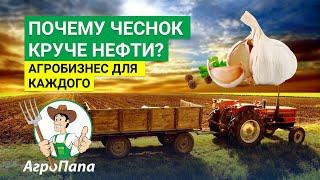 Почему чеснок круче нефти? Как начать агробизнес? Агропапа поможет начать!