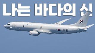 해군 'P-8A 포세이돈' 17시간 비행 끝에 우리나라 작전해역 진입! 환영받으며 해군 항공사령부에 무사 착륙 / 해군 제공