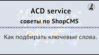 Как подбирать ключевые слова.  Движок ShopCMS