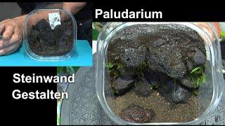 Mini Paludarium Mooslandschaft mit Soil gestalten. Moos an die Steinwand