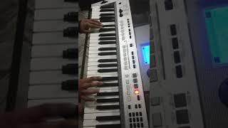 Despacito cover on Yamaha PSR I455 By Ranjan Popli