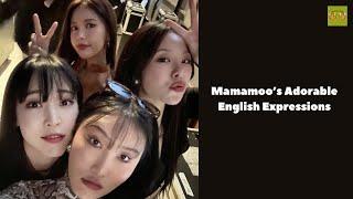 Mamamoo's Adorable English Expressions