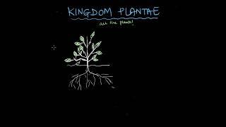 Plant Kingdom | Biological Classification | Biology | Khan Academy