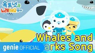 바다 탐험대 옥토넛 The Octonauts - Whales and Sharks song Official M/V