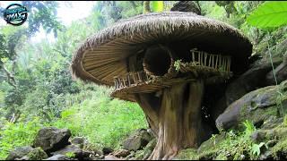 The Majestic Bamboo Haven: Building a Masterpiece on a Giant Tree Stump@bushcraftandnature