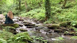 Rocky Stream in England | Relaxing Flowing Water Sounds in the Forest | Sleeping, Stress Relief, Zen