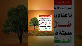 صلى الله عليه وسلم# مختارات منوعه