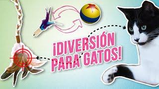 Cómo JUGAR con tu GATO  | TRUCOS para que se enamore de sus JUGUETES 