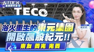 【產業妍究室】浴火重生的東元集團 開啟飆股紀元 東友  菱光 光菱2024.10.08 分析師  劉妍希