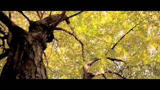 Leipzig in Herbststimmung Impression 2011 (Clara Zetkin Park Leipzig) - Steadycam