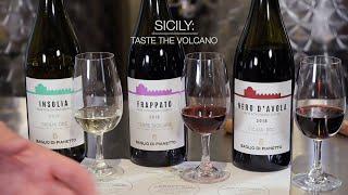 Tasting Volcanic Italian Wines of Sicily