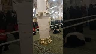 Riaz ul Jannah ladies side/riyad ul jannah #riazuljannah #rozaerasoolﷺ #roza #shortsfeed#madinahlive