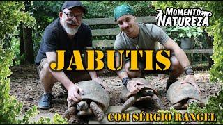 Jabutis - Com Biólogo Sérgio Rangel - Momento Natureza