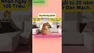 Nhận Tiền Hay Ngồi Tù  | Cheems Cười Xỉu #cheems