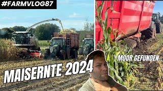 Maisernte 2024 auf meinem Hof! Festfahren inklusive FARMVLOG #87