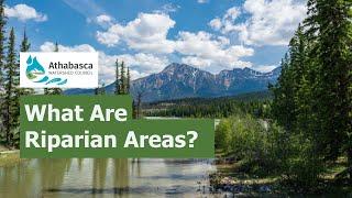 What are Riparian Areas?