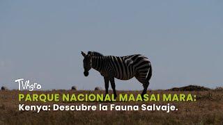 Parque Nacional Maasai Mara - Kenya: Descubre la Fauna Salvaje - TvAgro por Juan Gonzalo Angel