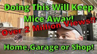 3 Ways To Get Rid Of Mice or Rats, And Keep Them Out!(#1 tip at10:14 mark for the impatient viewers)