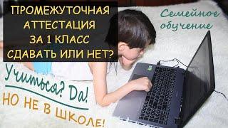  Семейное обучение: Промежуточная аттестация за 1-й класс - это право или обязанность. Сдавать ПА?