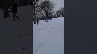 Snow sledding in Central park