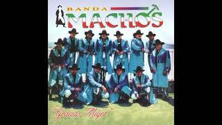 Mano a mano banda maguey vs banda machos