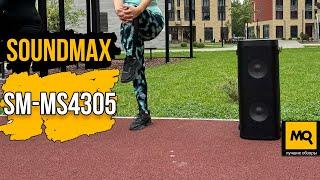 SOUNDMAX SM-MS4305 обзор. Продвинутая портативная акустика