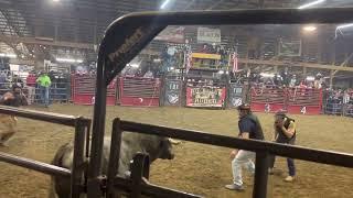 Rodeo money the hard way!!! At Fox Hollow rodeo