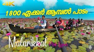 120 വള്ളങ്ങളുമായി മലരിക്കൽ ടൂറിസം Malarikkal Tourism Kottayam Kerala | Ramesh & Suresh Vlogs